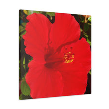 Load image into Gallery viewer, Red Hibiscus