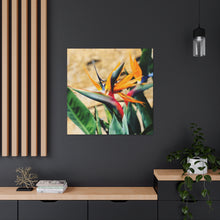 Load image into Gallery viewer, Bird of Paradise
