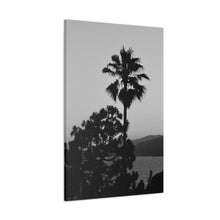 Load image into Gallery viewer, Tropical Palm Silhouette