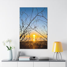 Load image into Gallery viewer, Capture of Vines