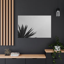 Load image into Gallery viewer, Premium Frond B/W