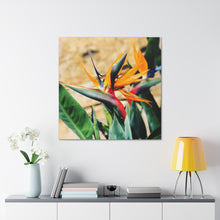 Load image into Gallery viewer, Bird of Paradise