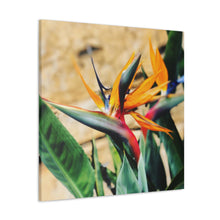 Load image into Gallery viewer, Bird of Paradise