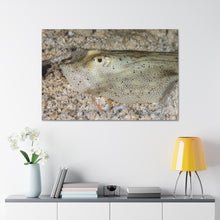 Load image into Gallery viewer, Hello