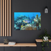 Load image into Gallery viewer, Rainbow Bliss