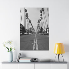 Load image into Gallery viewer, Ave of the Palms B/W