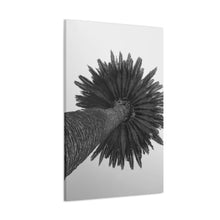 Load image into Gallery viewer, Frond Crown B/W