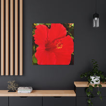 Load image into Gallery viewer, Red Hibiscus