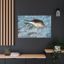 Load image into Gallery viewer, Puffy