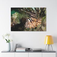 Load image into Gallery viewer, Rawrrrr