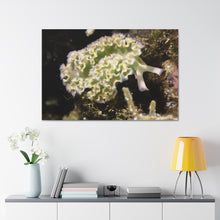 Load image into Gallery viewer, Pure