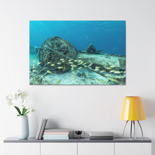 Load image into Gallery viewer, Coral Plane