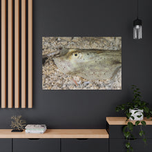 Load image into Gallery viewer, Hello