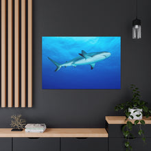 Load image into Gallery viewer, King