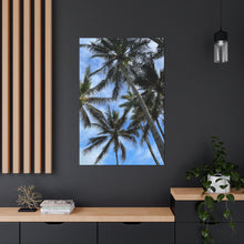 Load image into Gallery viewer, Palm Wash