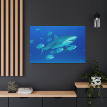 Load image into Gallery viewer, Sharkin Around