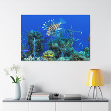 Load image into Gallery viewer, Morning Swim