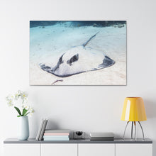 Load image into Gallery viewer, Wanna Mess?