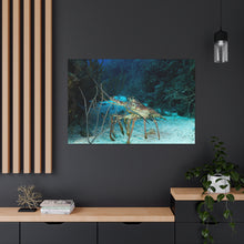 Load image into Gallery viewer, Lobsta