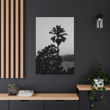 Load image into Gallery viewer, Tropical Palm Silhouette