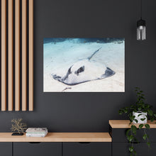 Load image into Gallery viewer, Wanna Mess?