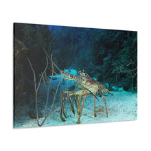 Load image into Gallery viewer, Lobsta