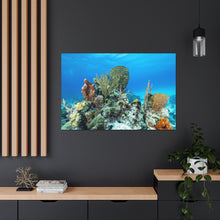 Load image into Gallery viewer, Crafty Coral