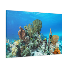 Load image into Gallery viewer, Crafty Coral