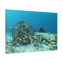 Load image into Gallery viewer, Coral Plane