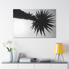 Load image into Gallery viewer, Shadow Precision B/W