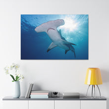 Load image into Gallery viewer, Hammer Time