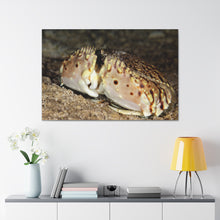 Load image into Gallery viewer, Krabby Patty