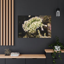 Load image into Gallery viewer, Pure