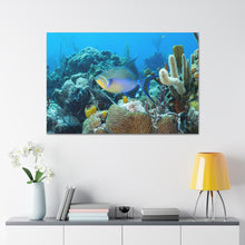 Load image into Gallery viewer, Rainbow Bliss