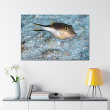 Load image into Gallery viewer, Puffy