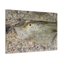 Load image into Gallery viewer, Hello