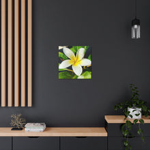 Load image into Gallery viewer, Peaceful Plumeria