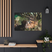 Load image into Gallery viewer, Rawrrrr