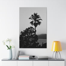 Load image into Gallery viewer, Tropical Palm Silhouette