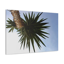 Load image into Gallery viewer, Shadow Precision