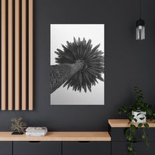 Load image into Gallery viewer, Frond Crown B/W