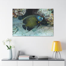 Load image into Gallery viewer, Solo One