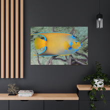 Load image into Gallery viewer, Queen