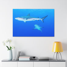 Load image into Gallery viewer, A Team