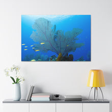 Load image into Gallery viewer, Fan Through The Deep Blue