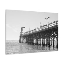 Load image into Gallery viewer, Pier is Home 2