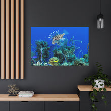 Load image into Gallery viewer, Morning Swim