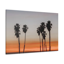Load image into Gallery viewer, Sunny Palmz