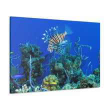 Load image into Gallery viewer, Morning Swim