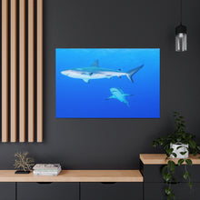 Load image into Gallery viewer, A Team